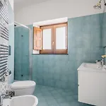 Prota