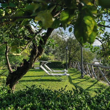 Oda ve Kahvaltı Prota